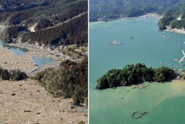 Јапонија после природните катастрофи и денес