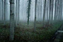 Прекрасни фотографии направени од камерите на „Google’s Street View“