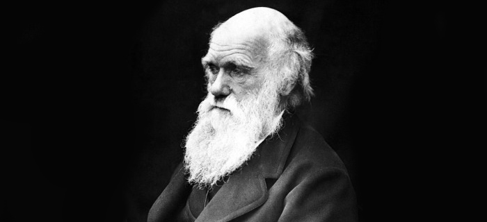 Пронајдени 