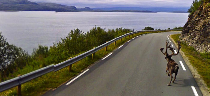 Шокантни и неочекувани фотографии фатени со камерите на Google Street View