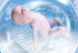 Какви промени ќе му се случат на човекот за 1.000 години?