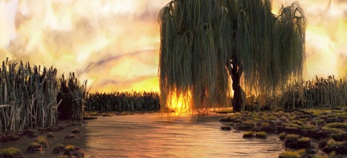 Лажни пејзажи за спектакуларна фотографија