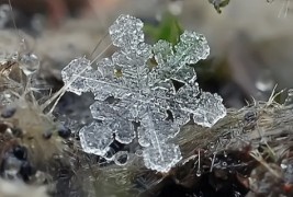 Како изгледаат снегулките одблизу?