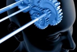 Фасцинантни ефекти од хакирање на вашиот мозок