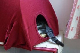 Направете сами: удобна куќичка за вашата мачка