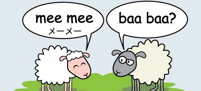 Како зборуваат животните во различни земји?