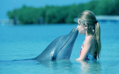 7 интересни факти за делфините