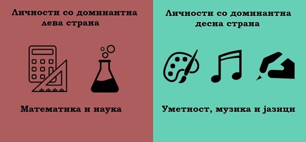 (3) 8 примери кои ја покажуваат разликата помеѓу луѓето кај кои доминира левата и оние кај кои доминира десната страна на мозокот 