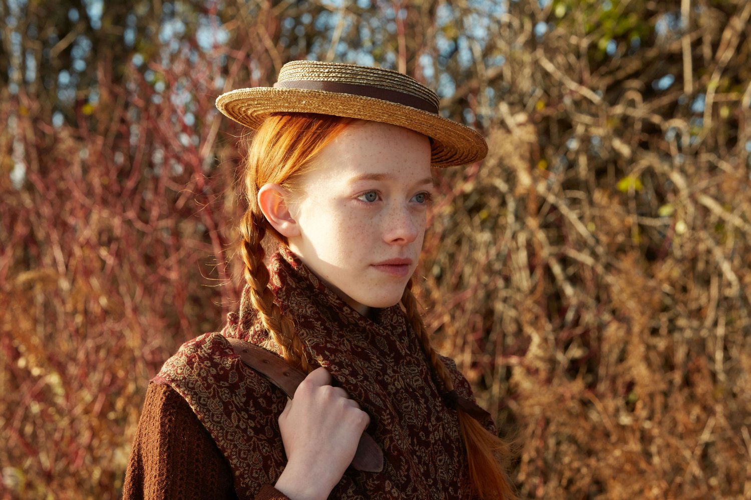 ТВ серија: Ен (Anne with an E)